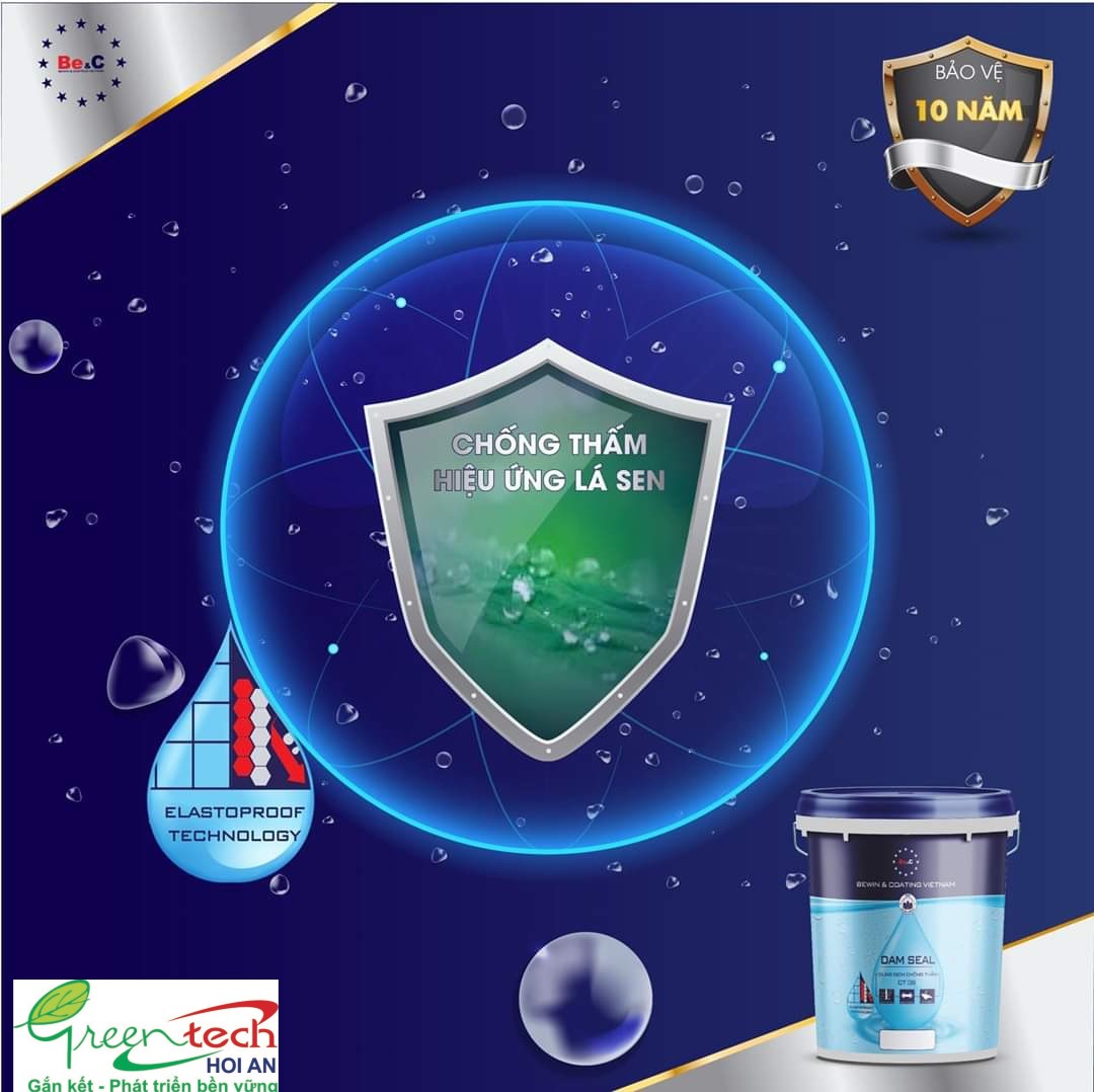 chống thấm lá sen tại hội an